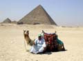 Another shot of arab and camel